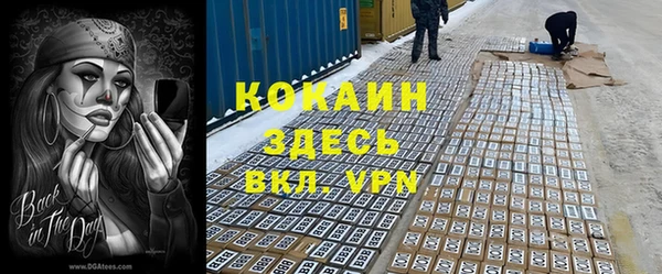 дживик Алексин