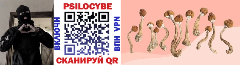 Псилоцибиновые грибы GOLDEN TEACHER  Алапаевск 