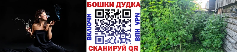 закладки  Алапаевск  Бошки марихуана VHQ 